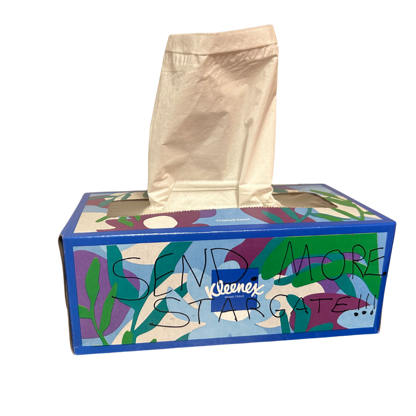 The "Send More" Protest Box