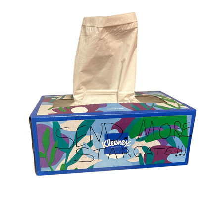 The "Send More" Protest Box