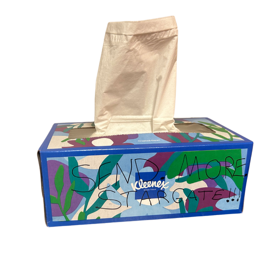 The "Send More" Protest Box