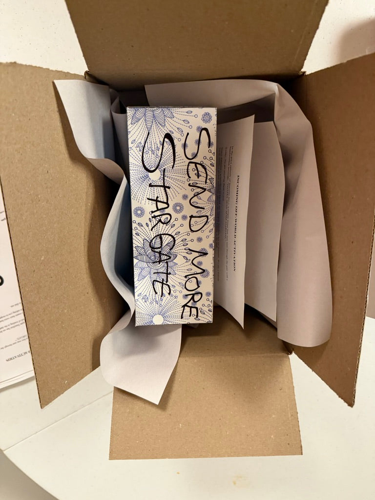 The "Send More" Protest Box